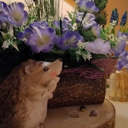 Bed & Breakfast La Tana Del Riccio Vigarano Mainarda